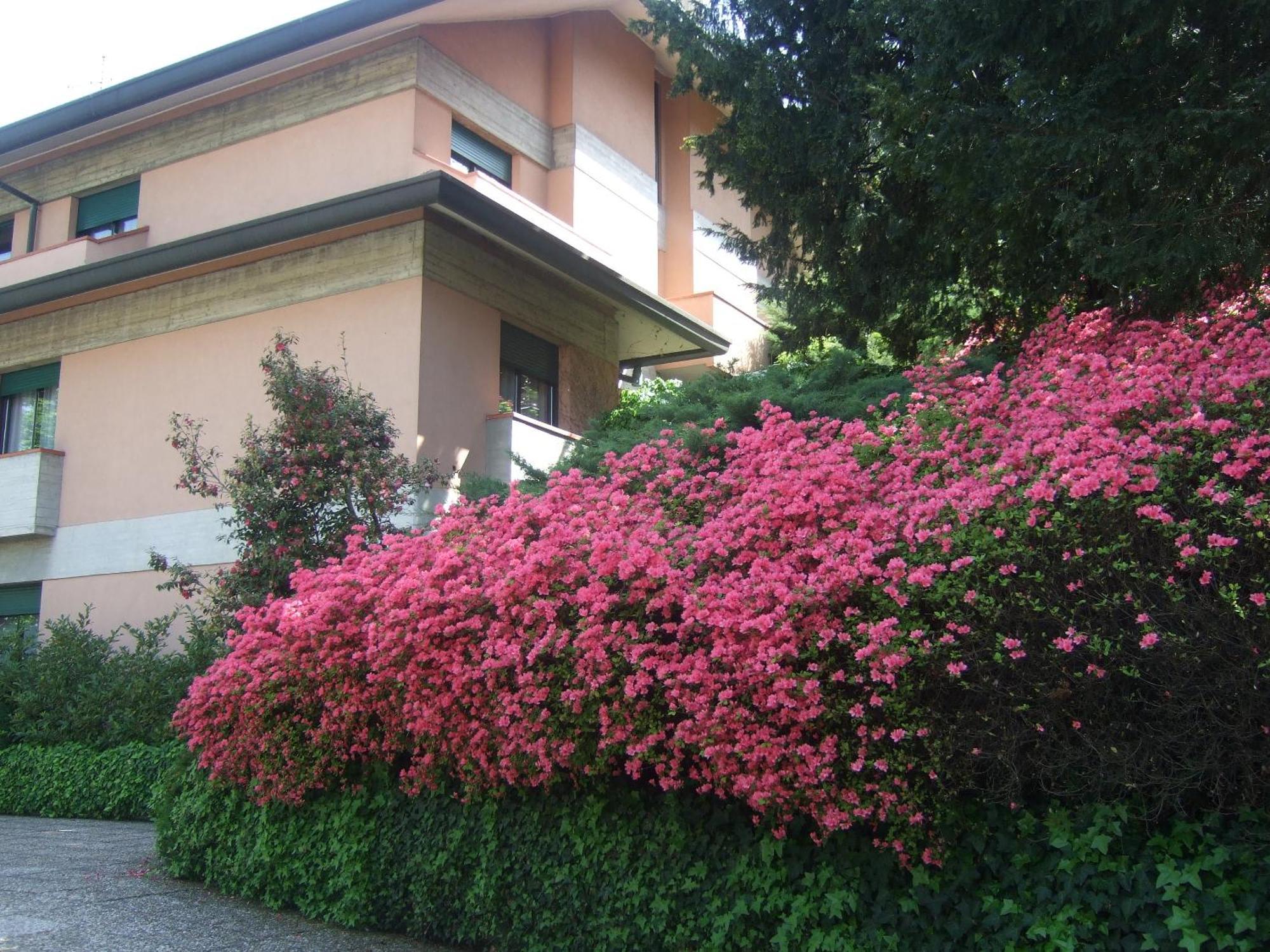 Hotel Canturio Extérieur photo